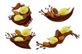 Green grapes with brown raisins in chocolate splashes on white background Royalty Free Stock Photo